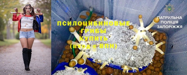 МДПВ Абаза