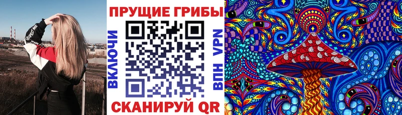 Псилоцибиновые грибы GOLDEN TEACHER  цены   Костерёво 